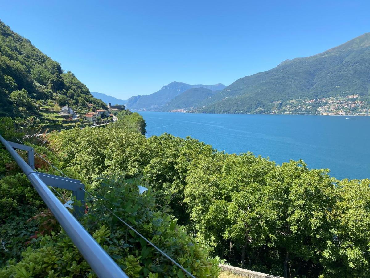 Residence Il Poggio Dorio エクステリア 写真